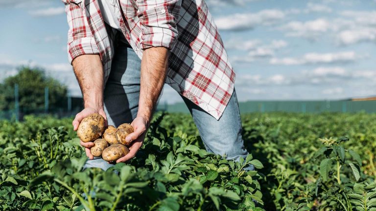 Moja Slovenija 15 kmetijstvo naslovna