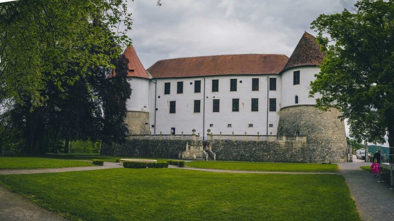 Moja Slovenija 35 posavje moje podjetje