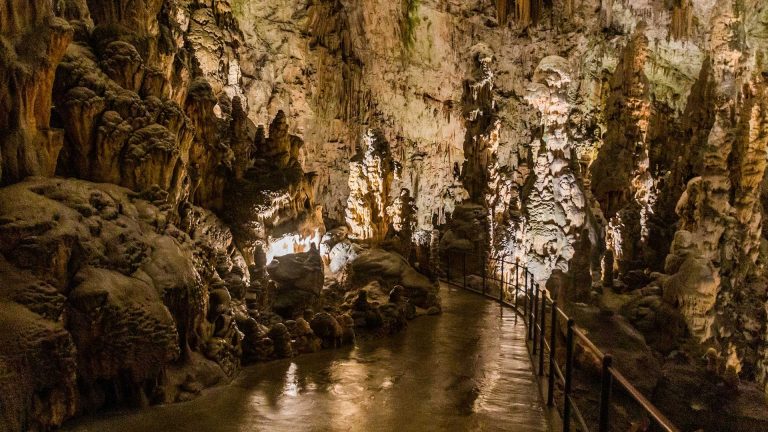 Moja Slovenija 36 primorsko notranjska moje podjetje