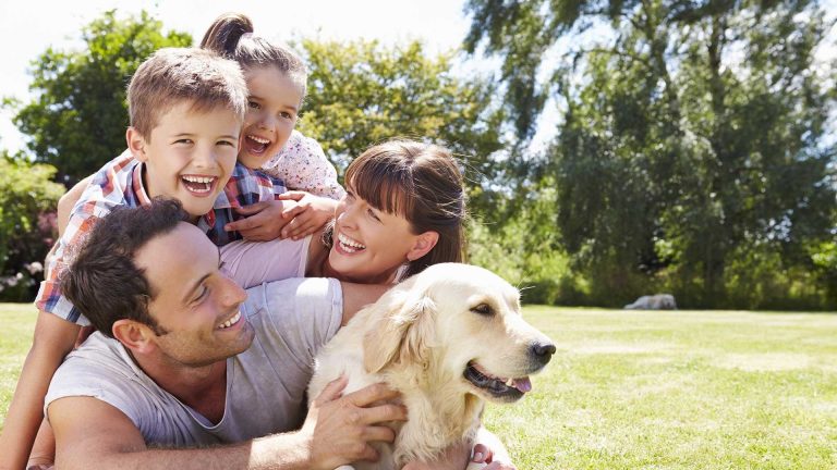 Moja Slovenija 23 prosti cas naslovna