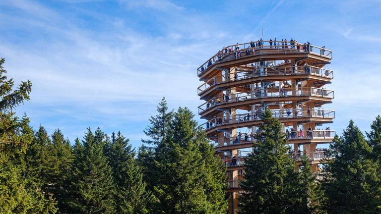 Moja Slovenija 37 savinjska moje podjetje